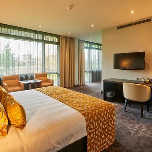 Deluxe Kamer met een King Size Bed